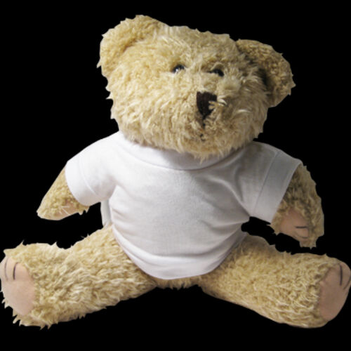 Soft Toy - Shaggy Bear Thumbnail